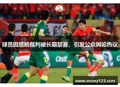 球员因怒喷裁判被长期禁赛，引发公众舆论热议